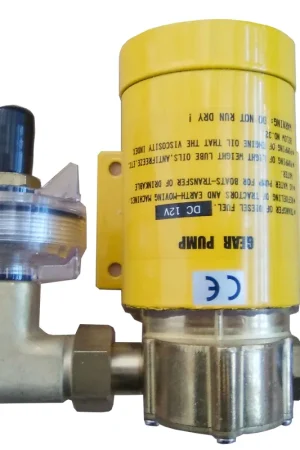 Pompa ingranaggi 12 v. Offerta Lampo
