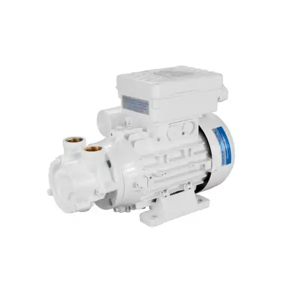Offerta Limitata Elettropompa ACB90 E 230V Gianneschi Pump