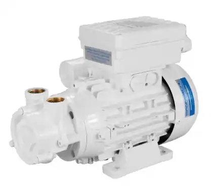 Elettropompa ACB90 (230/380V) Gianneschi Pump Prezzo Basso