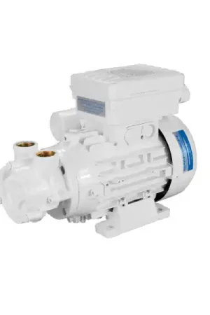 Elettropompa Monoblocco ACB90 24V Gianneschi Pump Super Prezzo