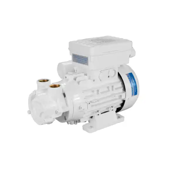 Elettropompa Monoblocco ACB90 24V Gianneschi Pump Super Prezzo