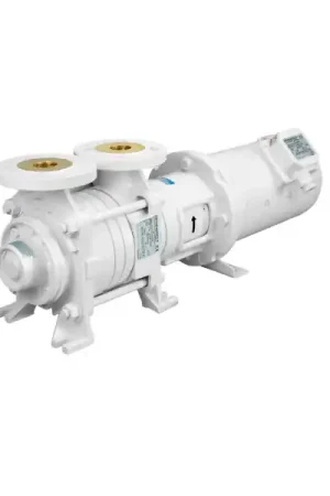 Pompa ACM311 BT 24V Gianneschi Pump Solo Oggi