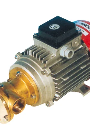 Compra Adesso Pompa bg80 12 v.