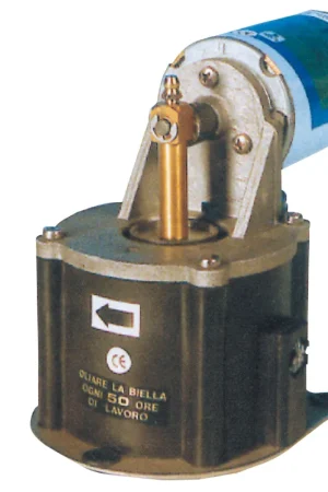 Offerta Pompa pk10 12 v.