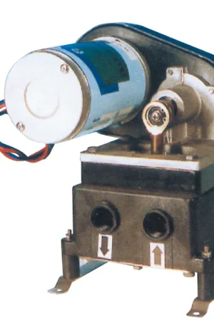 Spedito Oggi Pompa bg108 12 v.