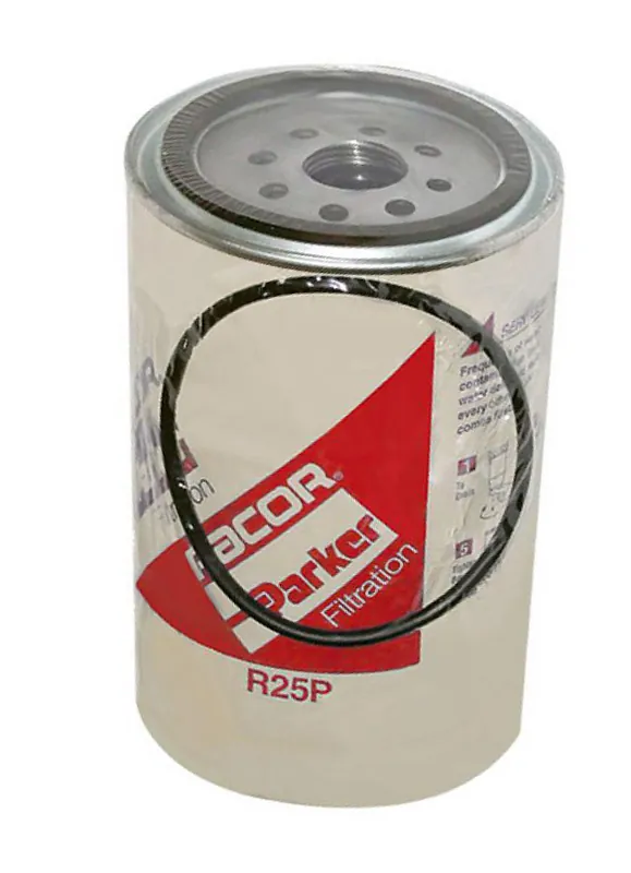 Occasione Imperdibile Cartuccia ricambio r25p 30 micron