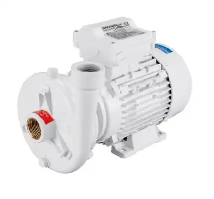 A Buon Prezzo Pompa Monoblocco CB22-120 230V Gianneschi Pump