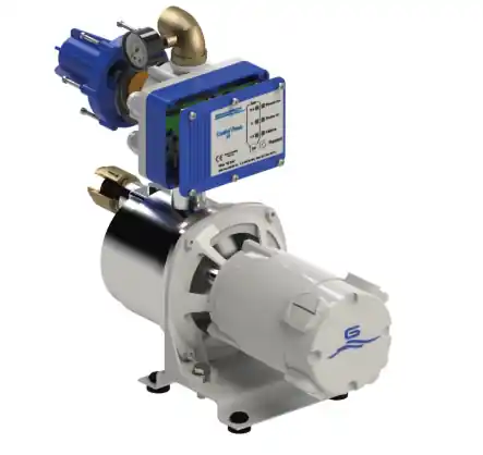 Autoclave ECOINOX4/15 C.E. 230V Gianneschi Pump Prezzo Di Fabbrica