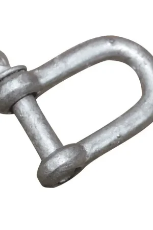 A Buon Prezzo Grillo grande tipo a "D", zincato, Diam. 6mm