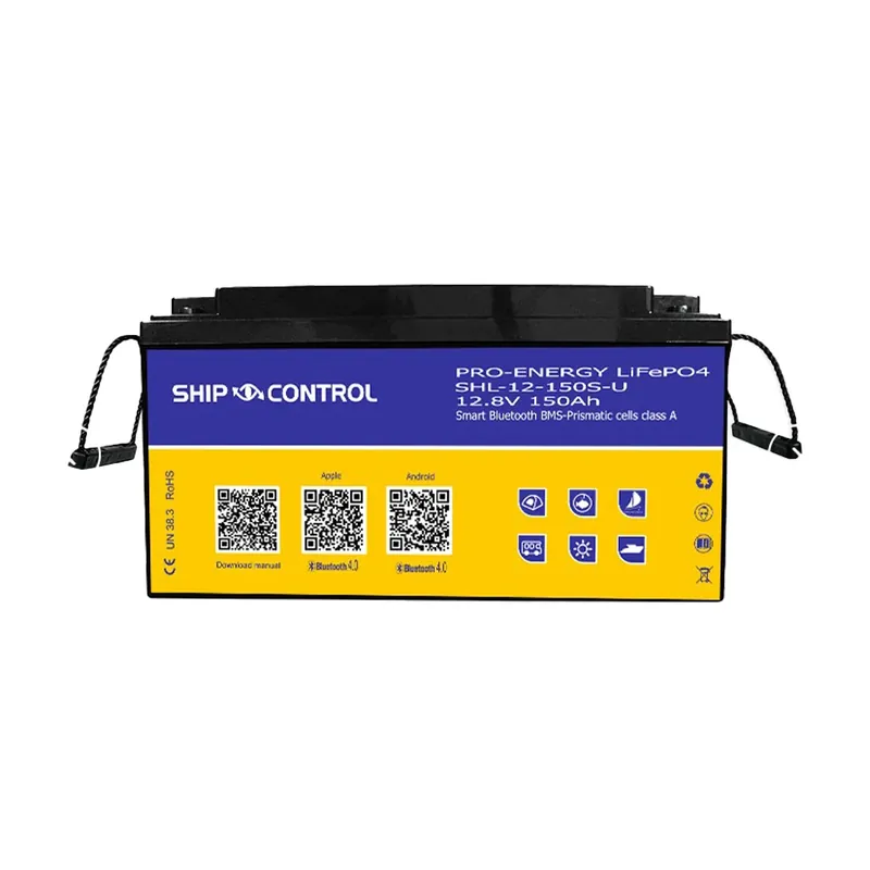 Affare BATTERIA LITIO SERVIZI 12V 150AH PRO ENERGY LiFePO4 C/BLUETHOOT