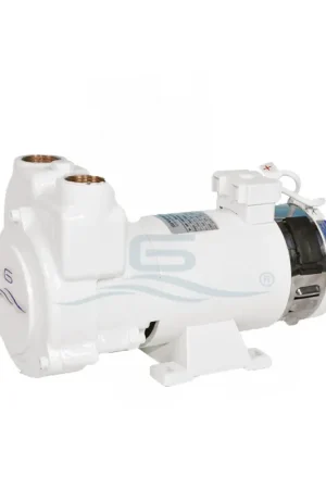 Professionale GIANNESCHI EL/POMPA CP 26 A2 24V CC 0.37KW
