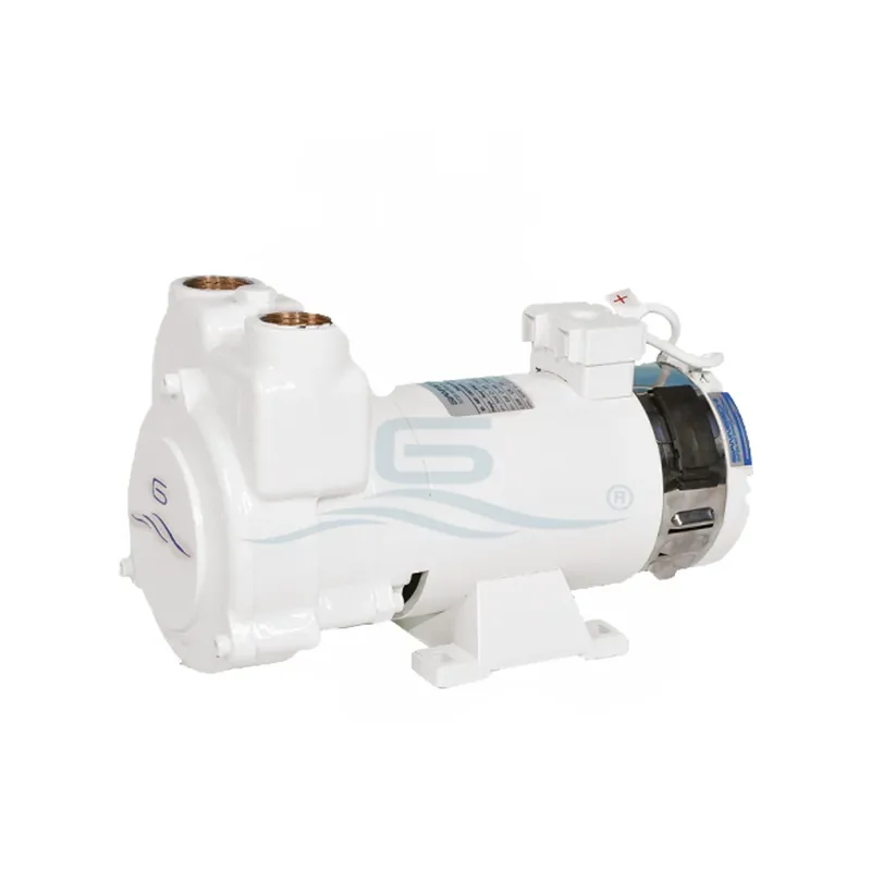 Professionale GIANNESCHI EL/POMPA CP 26 A2 24V CC 0.37KW